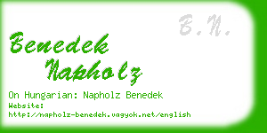 benedek napholz business card